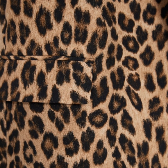 Zara leopard print blazer - Picture 5 of 13